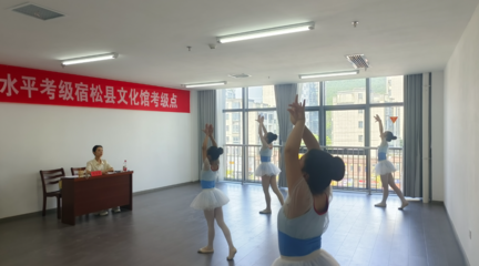 2024年宿松縣文化館全國社會藝術(shù)水平考級工作圓滿完成